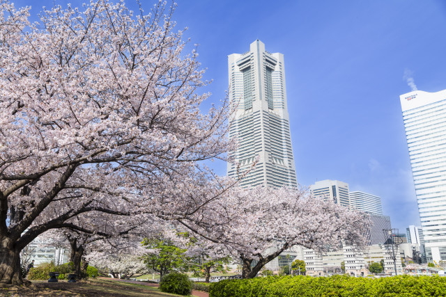 ガーデンネックレス横浜2026